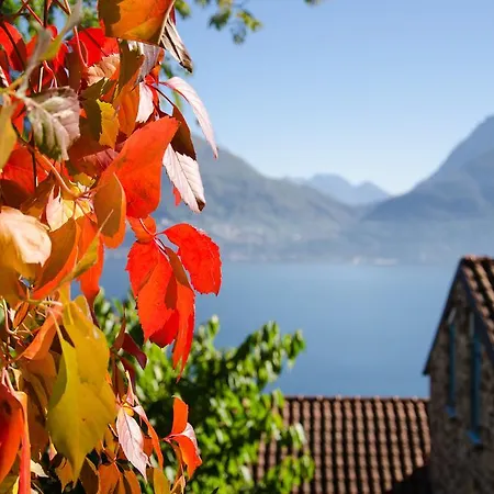 Apartment Sole Lago *
