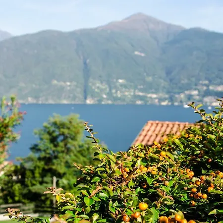 Sole Lago * Acquaseria